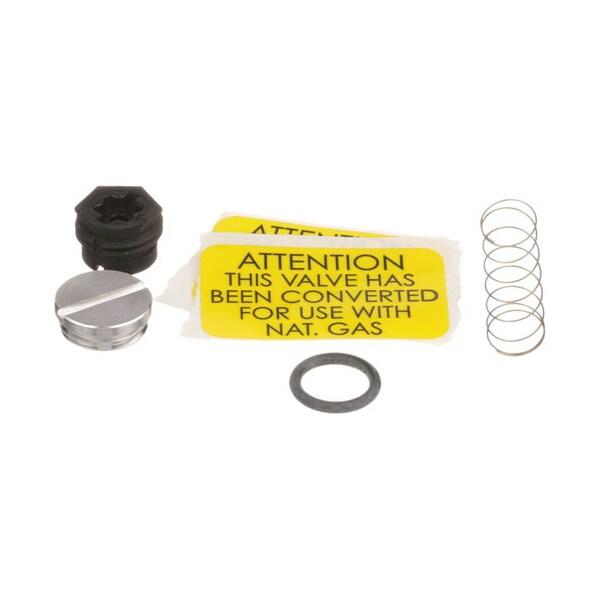 Regulator Conversion Nat